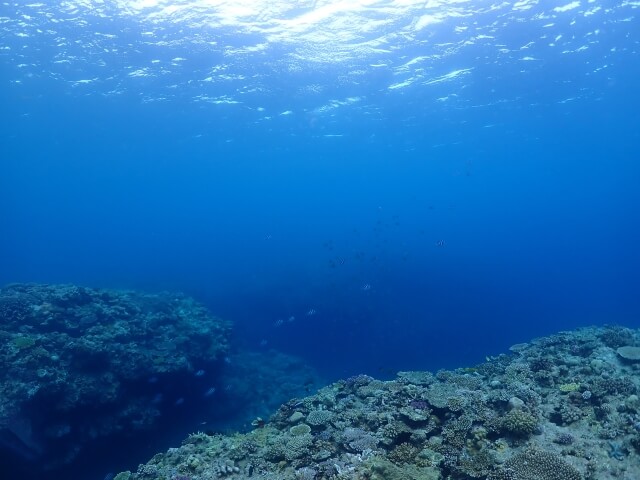 透明な海中から見た水平線