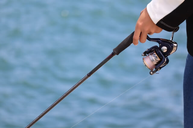 海辺で釣りを楽しむ手元の様子